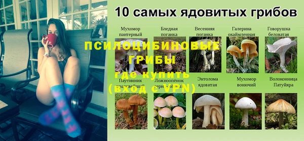 прущая мука Белокуриха