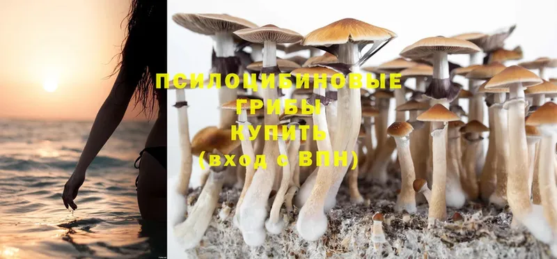 Галлюциногенные грибы Magic Shrooms Закаменск